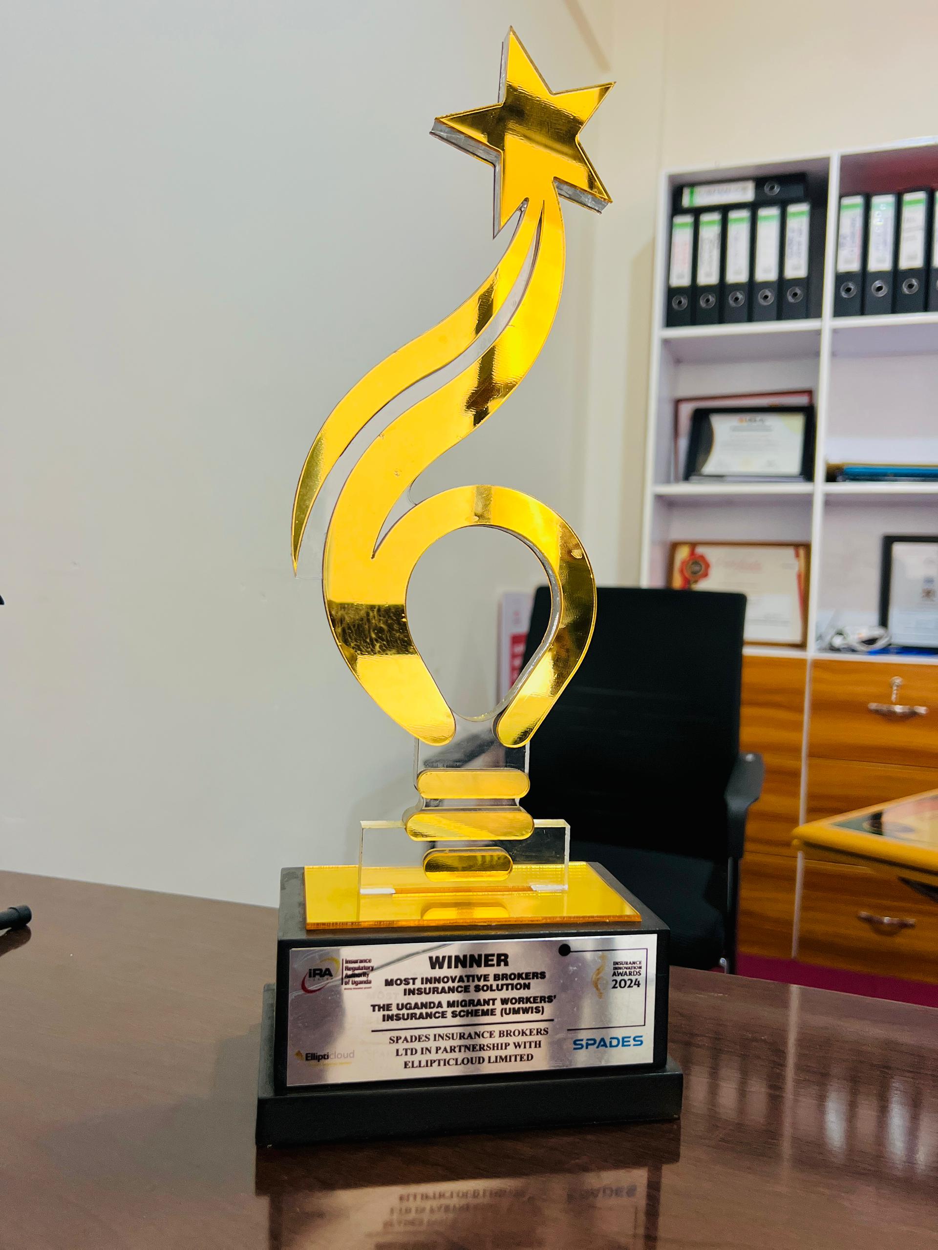 Insurance Awards 2024 Winner